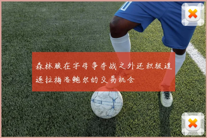 森林狼在字母争夺战之外还积极追逐拉梅洛鲍尔的交易机会